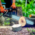 Gasoline Chainsaw Application